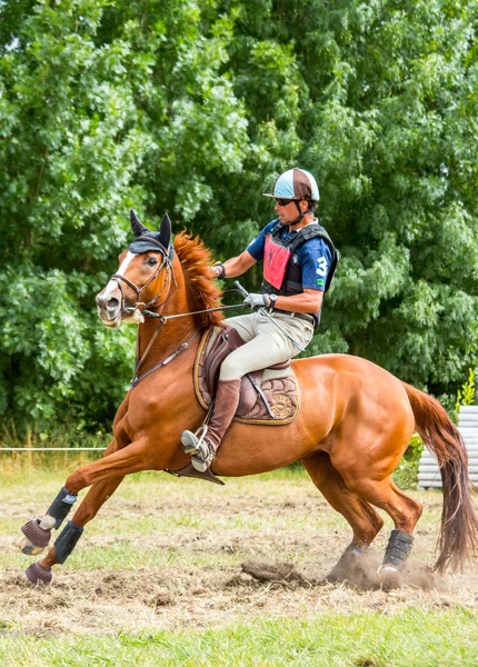 Saint Cyr du Doret, Frankrike - 29 juli 2016: Rider på hans galopperande häst under en terränglöpning manisfestation — Stockfoto