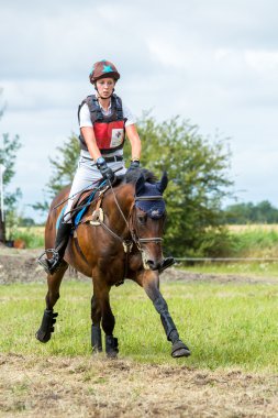 Saint Cyr du Doret, Fransa - 29 Temmuz 2016: çapraz ülke manisfestation sırasında onun dört nala koşan at üzerinde binici