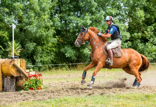 Saint Cyr du Doret, Francia - 29 de julio de 2016: Caballo a caballo por un obstáculo en un evento a campo traviesa — Foto de Stock