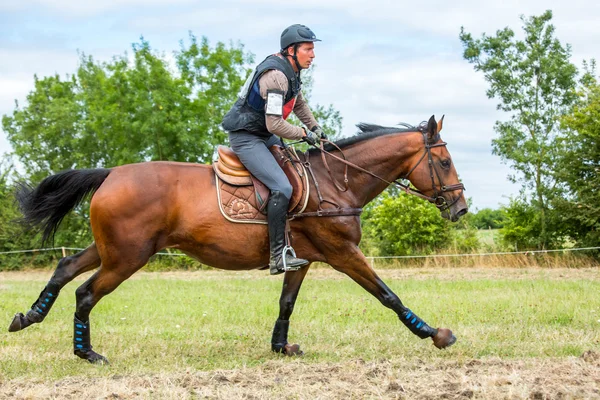 Saint Cyr du Doret, Francia - 29 de julio de 2016: Jinete en su caballo galopante durante una manisfestación a campo traviesa — Foto de Stock