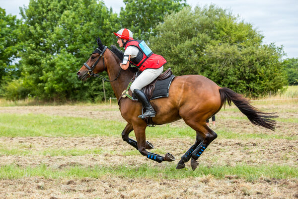 Saint Cyr du Doret, France - July 29, 2016: Rider on her galloping horse during a cross country manisfestation