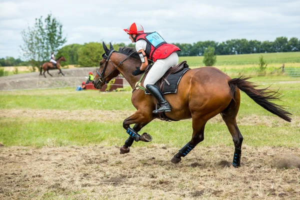 Saint Cyr du Doret, Francia - 29 de julio de 2016: Jinete en su caballo galopante durante una manisfestación a campo traviesa — Foto de Stock