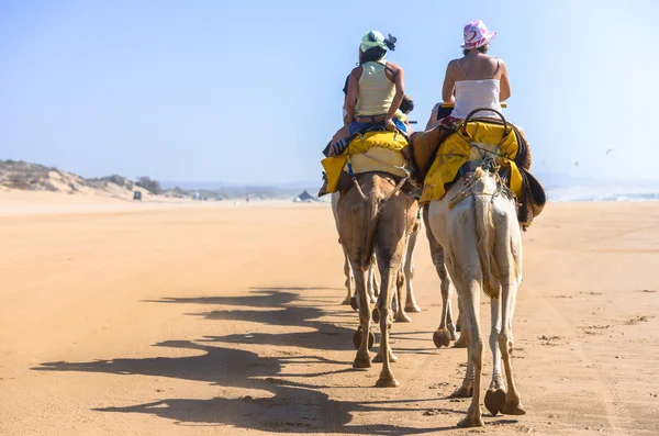 Turistas andando na parte de trás de camelos ao longo da costa arenosa — Fotografia de Stock