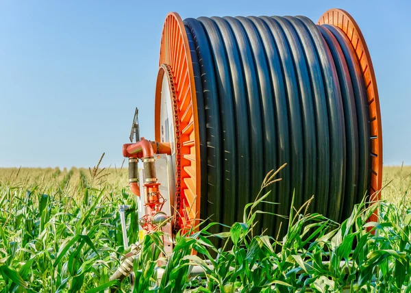 A huge coil of hose in the middle of the green field — Stock Photo, Image