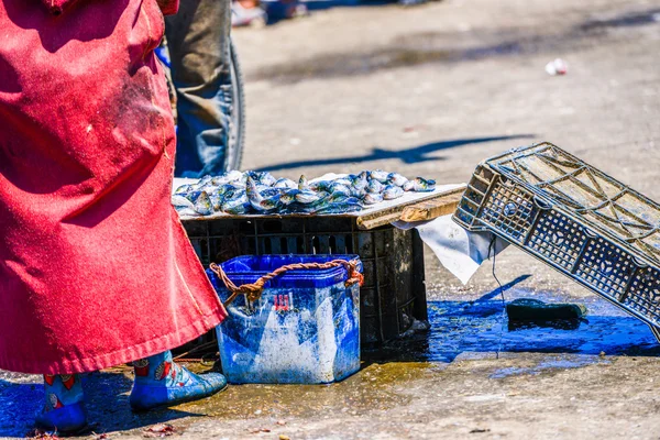 Primer plano de los pies de una anciana, que vende pescado fresco en el mercado de pescado —  Fotos de Stock