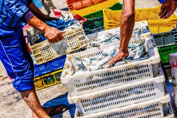 Rybáři uspořádání nádob s rybami — Stock fotografie