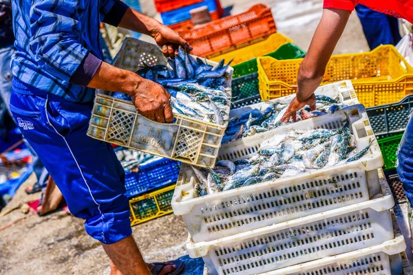 Pescadores organizando contenedores con pescado — Foto de Stock
