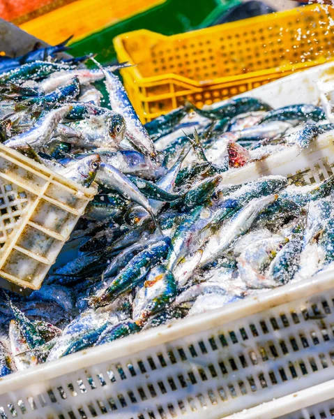 Fishermen arranging containers with fish — Stock Photo, Image