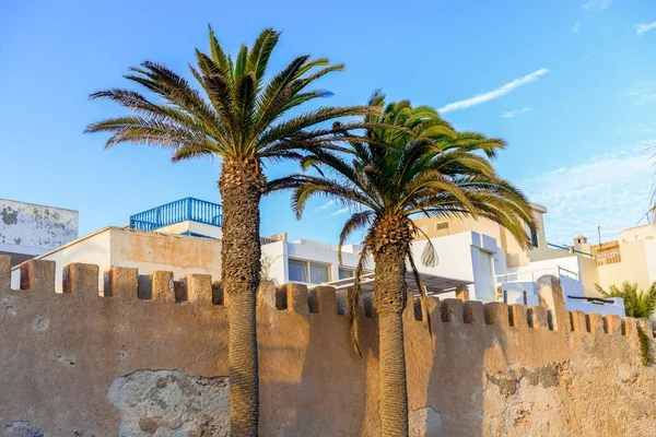 Two tall palm trees in front of a stone gate — Stock Photo, Image