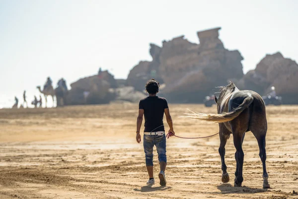 Un giovane uomo con le cuffie che cammina lungo la spiaggia con un cavallo — Foto Stock