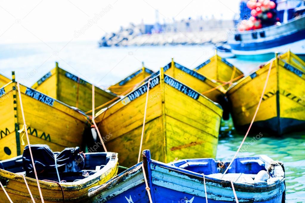 Prows of yellow boats tied to the shore