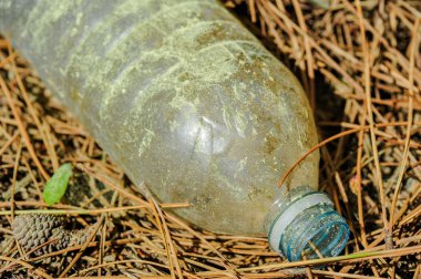 Atılan su şişesi zemin döşeme