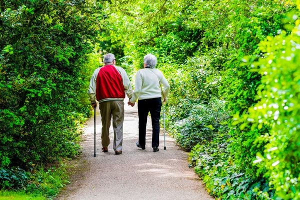 Pareja de ancianos paseando por el parque — Foto de Stock