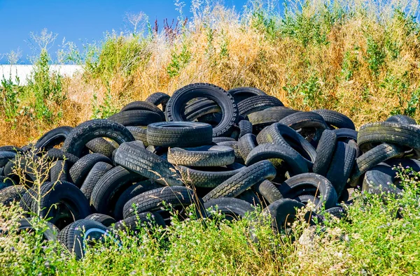 Gamla Däck Förorenar Naturen — Stockfoto