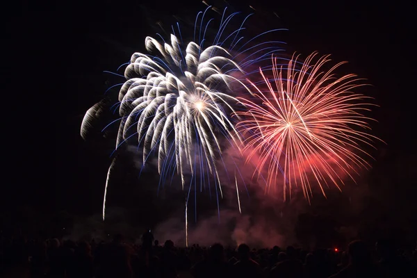 Beautiful fireworks celebration — Stock Photo, Image