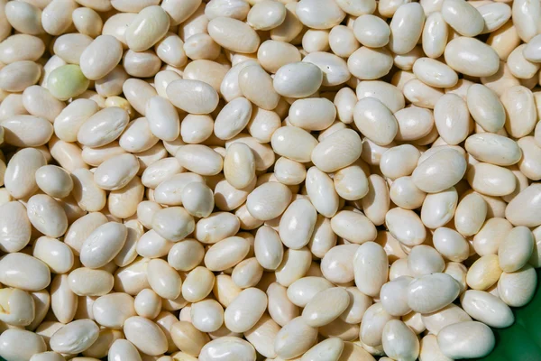 A fresh pile of romano beans — Stock Photo, Image