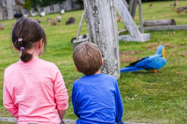 İki çocuk parkı parkta arıyorsunuz