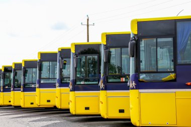 Büyük sarı otobüs bir sıraya park ettim.