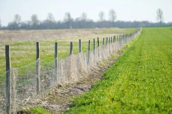 Bred grön betesmark på landsbygden — Stockfoto