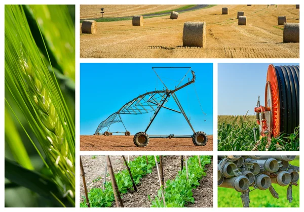 Collage mix di agricoltura e giardinaggio in campagna — Foto Stock