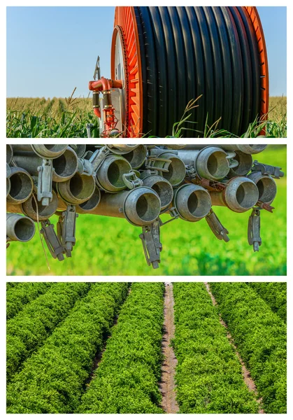 Collage mix di agricoltura e giardinaggio in campagna — Foto Stock