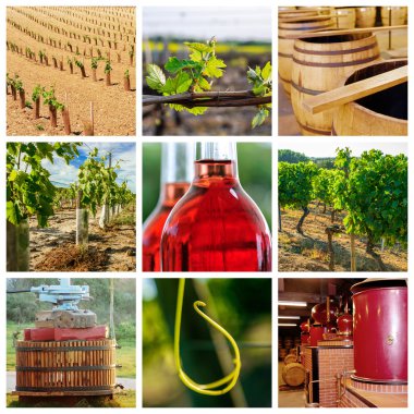 bağ ve şarap endüstrisi hakkında kolaj