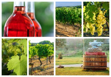 bağ ve şarap endüstrisi hakkında kolaj