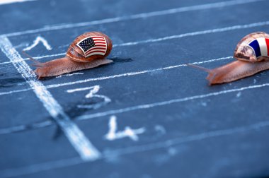 Salyangoz metafor hakkında ABD Fransa'ya karşı yarış