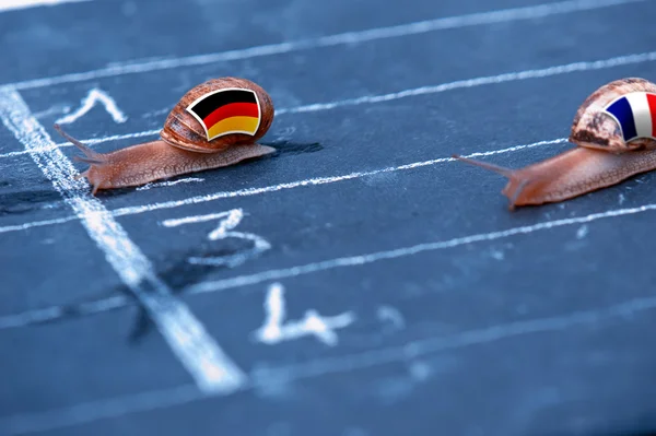Snails race metaphor about Germany against France — Stock Photo, Image