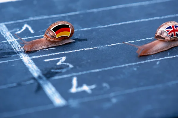 Snails race metaphor about Germany against England — Stock Photo, Image