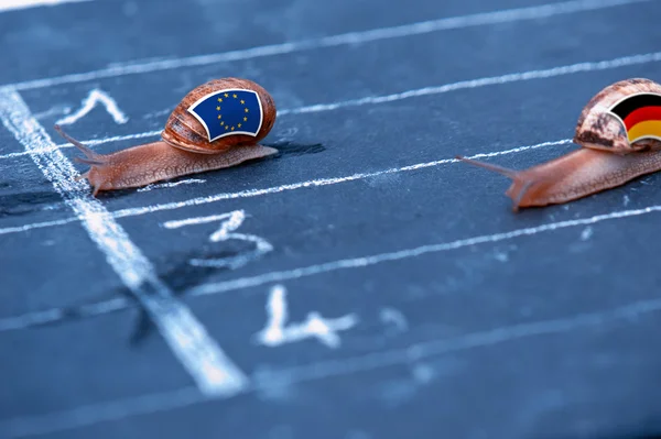 Snails race metaphor about Europe against Germany — Stock Photo, Image