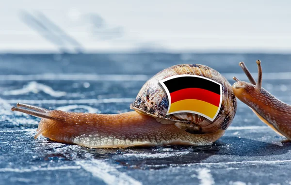 Caracol com as cores da bandeira da Alemanha incentivado por outro país — Fotografia de Stock