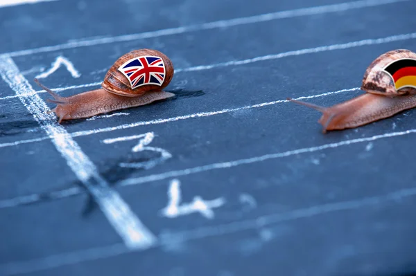 Schneckenrennen-Metapher über England gegen Deutschland — Stockfoto