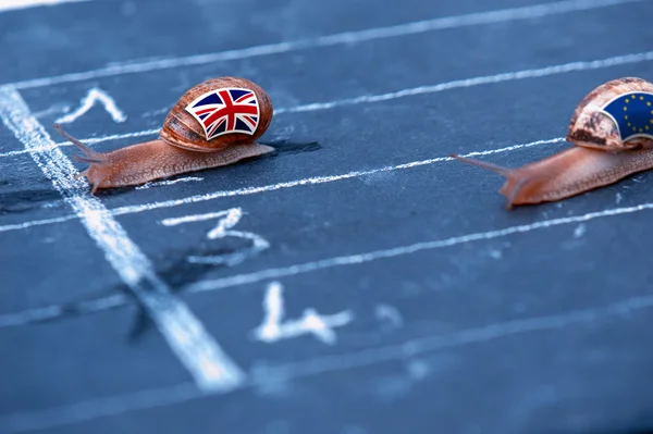 Metáfora de la raza de caracoles sobre Inglaterra contra Europa —  Fotos de Stock