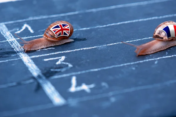 Metáfora de la raza de los caracoles sobre Inglaterra contra Francia —  Fotos de Stock
