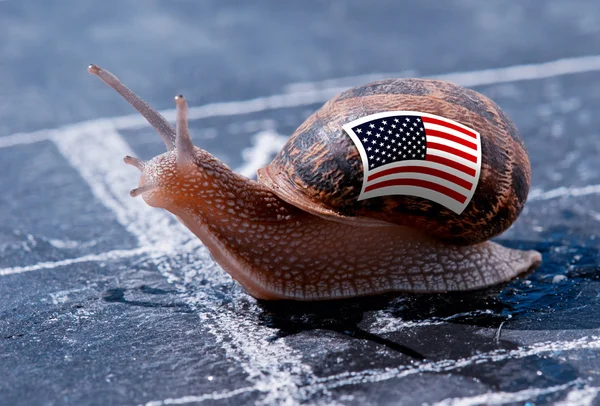 Čáře vyhrál šnek s barvy vlajky Usa — Stock fotografie