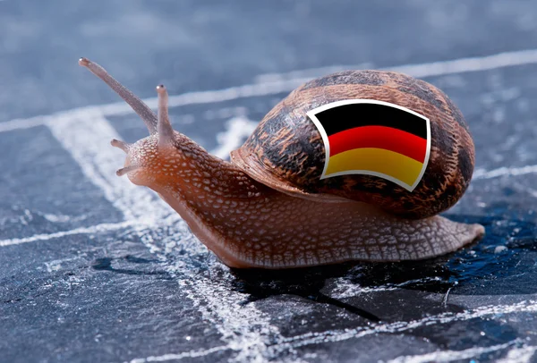 Línea de meta ganar de un caracol con los colores de la bandera de Alemania — Foto de Stock