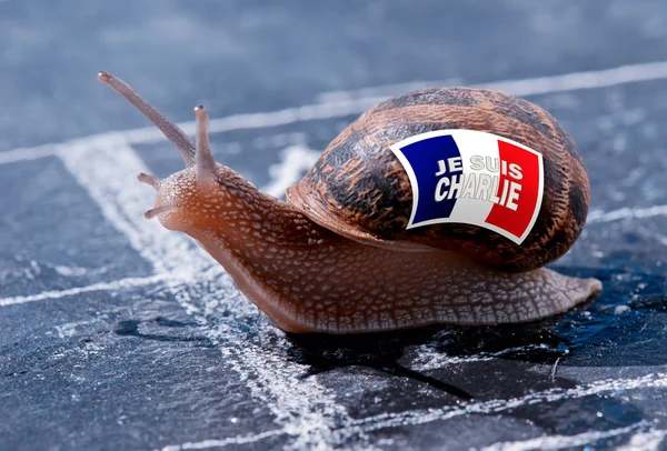 Peaceful metaphor of freedom in france — Stock Photo, Image