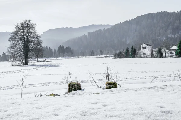 Zimowy krajobraz lasów w górach Vosges, Francja — Zdjęcie stockowe