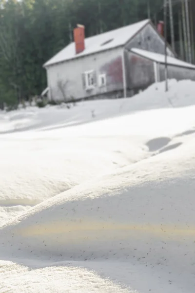 Chaty w głębokim śniegu w górach vosges — Zdjęcie stockowe