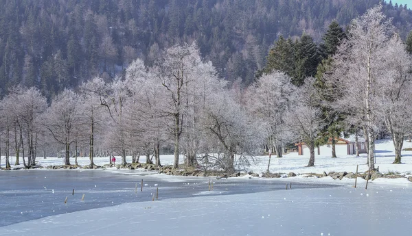 Jäätyneen Longemer-järven maisema Vosges-vuorella, Ranska — kuvapankkivalokuva