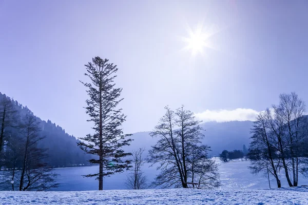 Zamrzlé jezero Longemer ve Vogézách Mountain, Francie — Stock fotografie