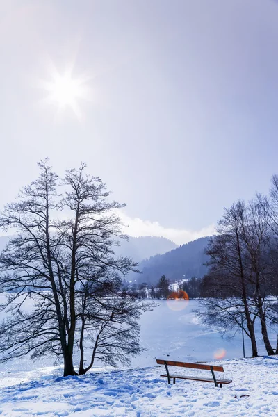 Zamrzlé jezero Longemer ve Vogézách Mountain, Francie — Stock fotografie