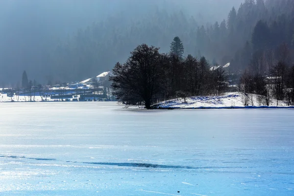 Zugefrorener Longemer See in den Vogesen, Frankreich — Stockfoto