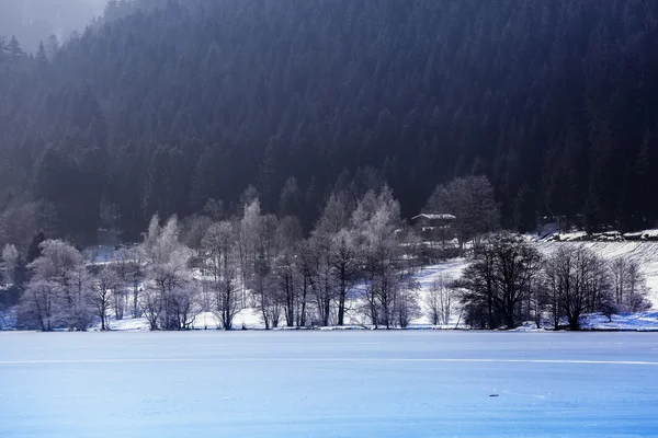 Paesaggio del lago ghiacciato Longemer nella montagna dei Vosgi, Francia — Foto Stock