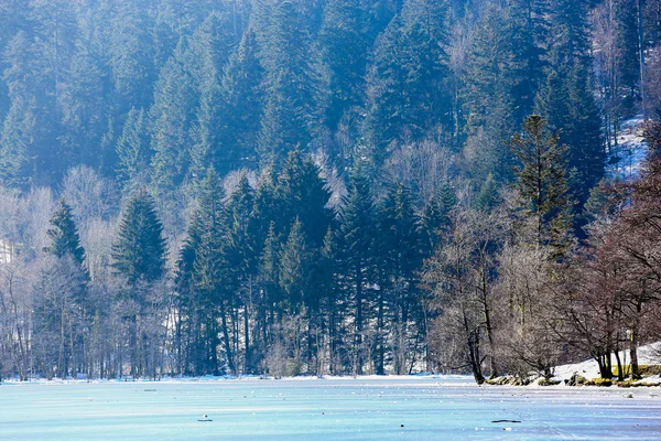 在法国孚日山冷冻 Longemer 湖的景观 — 图库照片