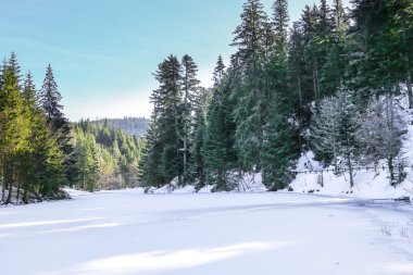 donmuş Longemer göl Vosges dağ, Fransa