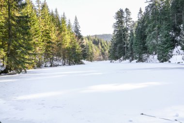 donmuş Longemer göl Vosges dağ, Fransa