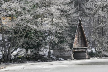 Manzara donmuş Longemer gölün Vosges dağ, Fransa