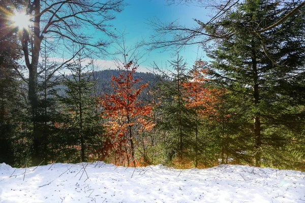 Krajobraz lasów w górach Vosges, Francja — Zdjęcie stockowe